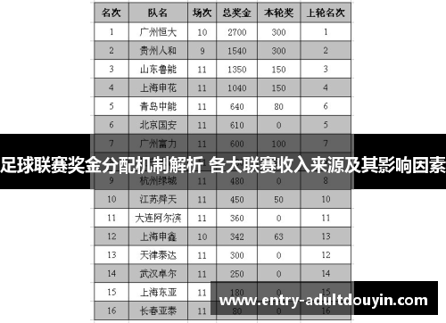 足球联赛奖金分配机制解析 各大联赛收入来源及其影响因素